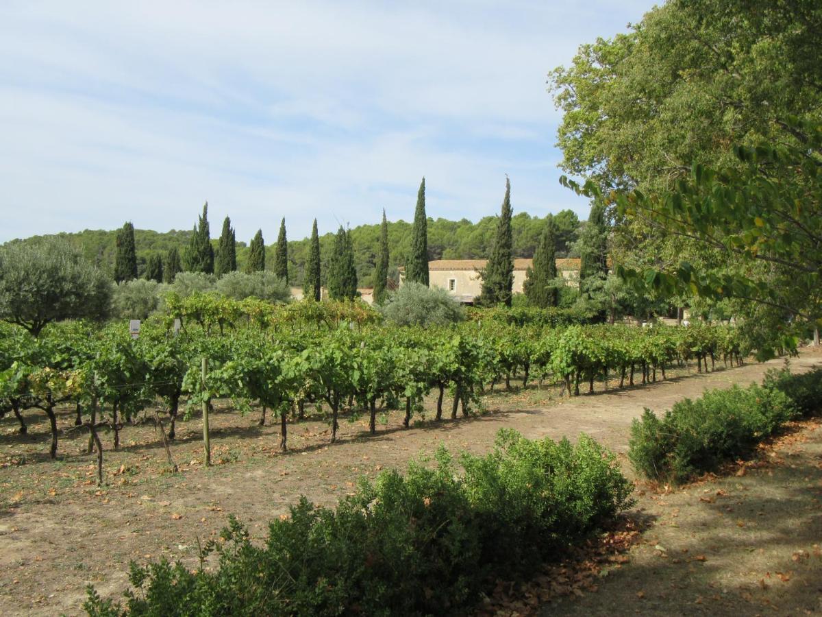 Charming And Quaint 2-Bed House In Marseillan Villa Luaran gambar